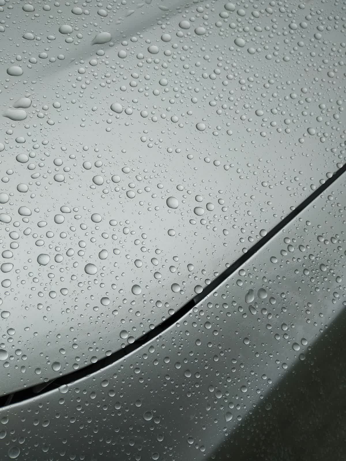 Water beading tight across a freshly coated panel